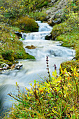 Stream, Drei Zinnen, Tre Cime di Lavaredo, UNESCO World Heritage Site Dolomites, Dolomites, Veneto, Italy