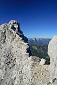 Rothoernl at Nurracher Hoehenweg with Kaiser range in background, Loferer Steinberge range, Tyrol, Austria
