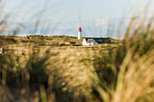 Leuchtturm List West, List, Ellenbogen, Sylt, Schleswig-Holstein, Deutschland