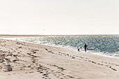 Woman with a dog walking along a beach, Ellenbogen, Sylt, Schleswig-Holstein, Germany