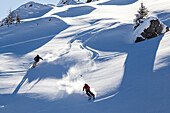 Two skiers downhill skiing, free ride skiing area Haldigrat, Niederrickenbach, Oberdorf, Canton of Nidwalden, Switzerland