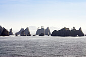 Sea Stacks on Shi Shi Beach, West Coast, Olympic Peninsula, Washington, USA