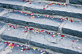rose leaves on stairs