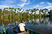 Boat and Mauriti Palm Trees, Buriti, Moriche Palms, at Sandoval Lake, Mauritia flexuosa, Tambopata National Reserve, Peru, South America