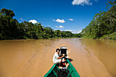 Rainforest at Tambopata river, Tambopata National Reserve, Peru, South America