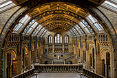 Interior view of the Natural History Museum, South Kensington, London, England, United Kingdom
