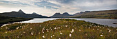 Stac Pollaidh, Highland, Schottland, Vereinigtes Königreich