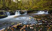 Pontneddfechan, Vale of Neath, Powys, Wales, Vereinigtes Königreich