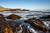 Cape Point, Tafelberg National Park, Atlantik, Kapstadt, Kap-Halbinsel, Westkap, Südafrika