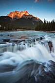 Athabasca River, Jasper-Nationalpark, Icefields Parkway, Alberta, Rocky Mountains, Kanada