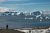 View from Rothera Station to the surrounding snowy mountains with a man standing on a hillside overlooking bay with icebergs, Rothera Station, Marguerite Bay, Antarctica