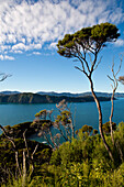 Blick von Gipfel von Motuara Island Richtung Long Island, Motuara Island, Outer Queen Charlotte Sound, Marlborough, Südinsel, Neuseeland