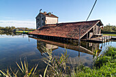 fish farm north of Torcello, traditional fishing hut, Casone di Valle, Venice, lagoon, Italy