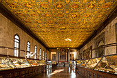 interior, Sala San Marco, first floor above the city hospital, houses historical medical instruments and medical books, Venice, Italy
