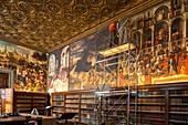 restoration work, scaffold, interior, historic medical library next to Sala San Marco, city hospital is housed in this building, Venice, Italy
