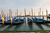 gondolas in evening light moored at San Marco, paline, background San Giorgio Maggiore, Venice, Veneto, Italy