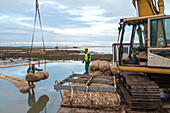 excavator, reinforcing areas around the salt marshes of the Lagoon to avoid erosion, barene, Venice, Italy