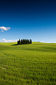 landscape near San Quirico d`Orcia, Val d`Orcia, province of Siena, Tuscany, Italy, UNESCO World Heritage