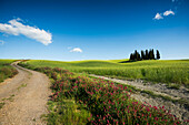 landscape near San Quirico d`Orcia, Val d`Orcia, province of Siena, Tuscany, Italy, UNESCO World Heritage