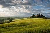 Landschaft bei San Quirico d'Orcia, Val d'Orcia, Provinz Siena, Toskana, Italien, UNESCO Welterbe