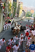 running of the bulls in San Fermin in Pamplona (Navarre).