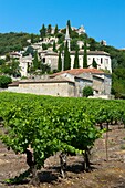Overview of Roque-sur-Ceze, labelled The Most Beautiful Villages of France, in Gard deparment, Languedoc-Roussillon region. France.
