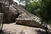 Cobá: Mayan Archeological Ruins at Yucatan Peninsula.