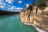 Athabasca Canyon in the Jasper National Park, Alberta, Canada