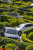 Cars driving down Lombard Street in San Francisco, California, USA