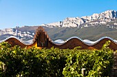 Bodegas Ysios wine cellar, built by Santiago Calatrava, Laguardia, Alava, Spain, Europe.