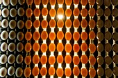 Eggs sorted on a conventional production commercial egg farm, Maryland USA