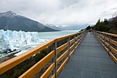 Hiking on Bridge, Perito Moreno Glacier.