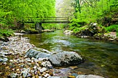Ash Bridge over the East Lyn River in Barton Wood in the Exmoor National Park. Lynmouth, Devon, England.