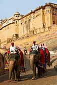 India, Rajasthan, Jaipur the pink city, Amber fort.