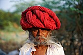 India, Rajasthan, Meda village around Jodhpur, Rabari ethnic group, Kamaram, 37 old.