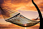 Hawaii, Maui, Silhouette Of A Hammock Hanging Between Two Palm Trees Near Ocean At Sunset