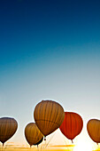 New Mexico, Albuquerque, Hot Air Balloons Against Bright Afternoon Sky.
