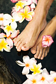 Hawaii, Oahu, Closeup Of Young Woman's Feet Floating In Water With Plumeria Flowers.