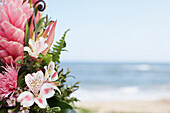 Flowers At Beach, Kauai, Hawaii