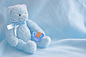 Artist's Choice: Blue Teddy Bear And Soother