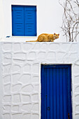 Cat On Wall Of Typical Building, Hora, Mykonos Island, Cyclades, Greece