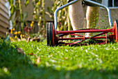 Man Using Push Mower