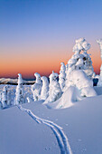 Scenic Sunrise In Winter With Ski Tracks In The Foreground, Wrangell Island, Southeast Alaska