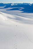 Distant View Of Person Skiing On Sargent Icefield On The Kenai Peninsula Of Southcentral Alaska