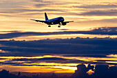 Airplane Approaching At Sunset.