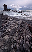 'Large wave hitting the rocks at Djupalonssandur beach, Snaefellsnes Peninsula; Iceland'