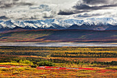 Autumn tundra, McKinley river bar, Alaska range mountains, Denali National Park, interior, Alaska.