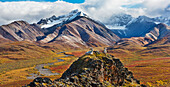 Dall sheep rams rest on a mountain ridge in Polychrome Pass in Autumn flanked by the Alaska range mountains, Denali National Park, Alaska.