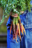 '6-year-old mixed race boy holding a bunch of organic carrots; Montreal, Quebec, Canada'