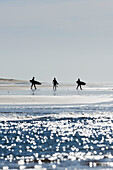 'Surfers on the coast; El Palmar, Costa de la Luz, Cadiz, Andalusia, Spain'